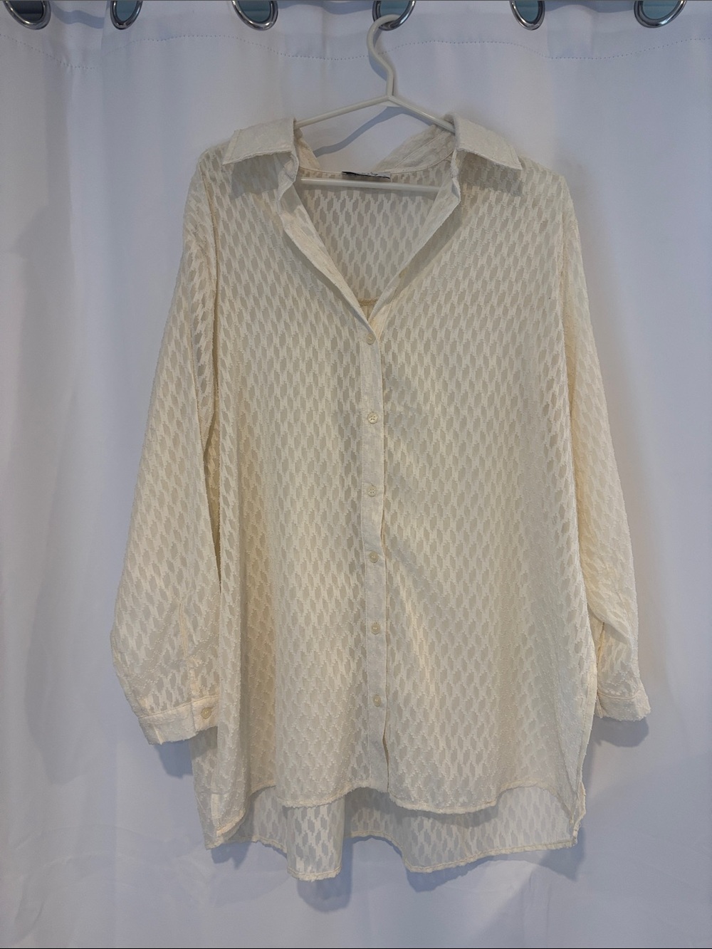 Sadie & Sage Cream Sheer Textured Button-Up Blouse
